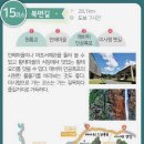 용대 이미지