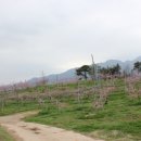 안흥농장 이미지