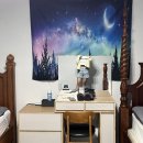 제주도게스트하우스파티바랑쉬성산점 | 제주 성산 바랑쉬게스트하우스 숙박 후기｜파티와 바다 위치까지 완벽