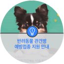 이의종동물병원 네이버블로그