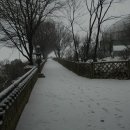 영화마을 이미지