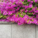 조은의료기 이미지