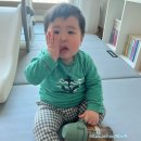 모모래빗 | 여름기저귀 추천 모모래빗에코씽씽 추천합니다.