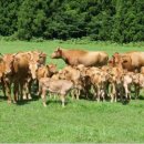 김포농업협동조합 하나로마트 이미지