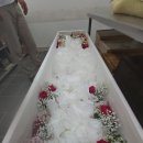 제일효요양병원 네이버블로그