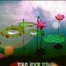 탁구 (중급반) 이미지