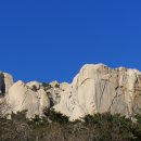 허니바우 이미지