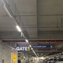 사세보 후쿠오카 3박 4일 크루즈 | Day 1 :: 부산항 국제여객터미널, 승선 및 선내 투어, 저녁뷔페, 공연