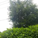 정원약국 이미지