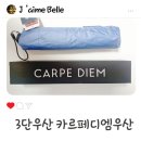 3단우산추천 카르페디엠우산