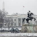 백악관 이미지