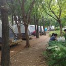 성동 서울숲 여름캠핑장 이미지