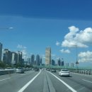 서울참새 이미지