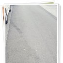 덕이셀프주유소 이미지