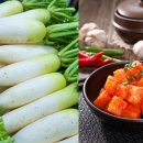 무 코메디닷컴