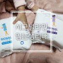 다연인터내셔널 네이버블로그
