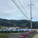 홍성불가마 이미지