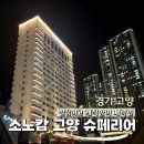 트윈타워 | [소노캄 고양] 이스트타워 슈페리어 트윈룸 후기, 사우나까지 완벽했던 하루