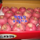 한빛농산