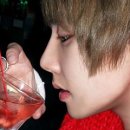 고양이 기숙사 이미지