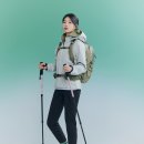 봄이오니 이미지