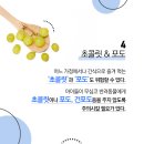 개금동물병원 이미지