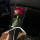 까페베네탄현역점 | 탄현 땡초우동 포장마차 내돈주고 먹은 솔직 후기 / 일산 술집/ 일산우동/일산포장마차/일산간단히술...