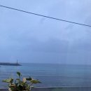 로맨틱 Pianist의 실내악 세계 | Robert Schumann 슈만 曲中