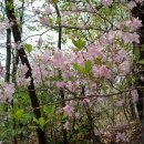 (주)세화고속관광 - 강북구 | (주)세화고속관광
