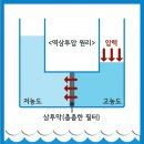 가나지하수 네이버블로그