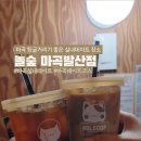 놀숲 마곡발산점 네이버블로그