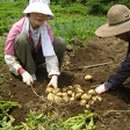 (주)기원농장 이미지