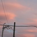 신선로 447번길 이미지