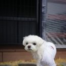 이쁘개 즐겁개 이미지