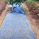 대범농장 이미지