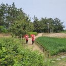 옥산리농로 이미지