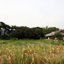 임호서당(臨湖書堂) 이미지