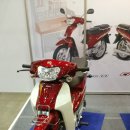 위티비즈 이미지