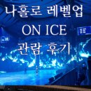 아이스헌터 | 나혼자만레벨업아이스쇼 관람후기 - 빙판위에 펼쳐진 나혼렙 세계