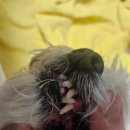 아름동물병원 이미지