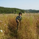 남당리 - 우 이미지