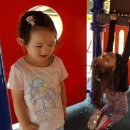 장미꽃길 2 이미지