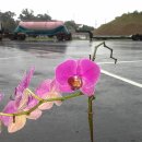 석문주유소
