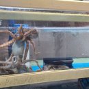 강림맛집 이미지