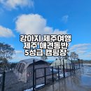 일랑일랑 애견캠핑 인제주 | 제주 애월 애견동반 5성급 캠핑장 일랑일랑(feat. 강아지 셀프목욕실)