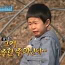 마즈영