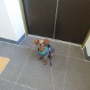 호수동우체국 이미지