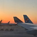 172 | 아시아나 OZ172 오키나와 탑승 후기 | 인천공항 제2터미널 체크인 꿀팁, A330 비상구좌석, 특별기내식...