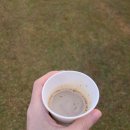 백강로 | 2025년 부여마라톤대회 10km 완주후기