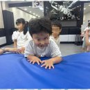 경희태권도장 이미지